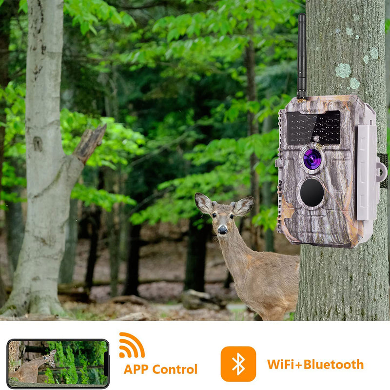 BlazeVideo Wireless Motion Activated Trail Camera w/Night Vision (Open Box)