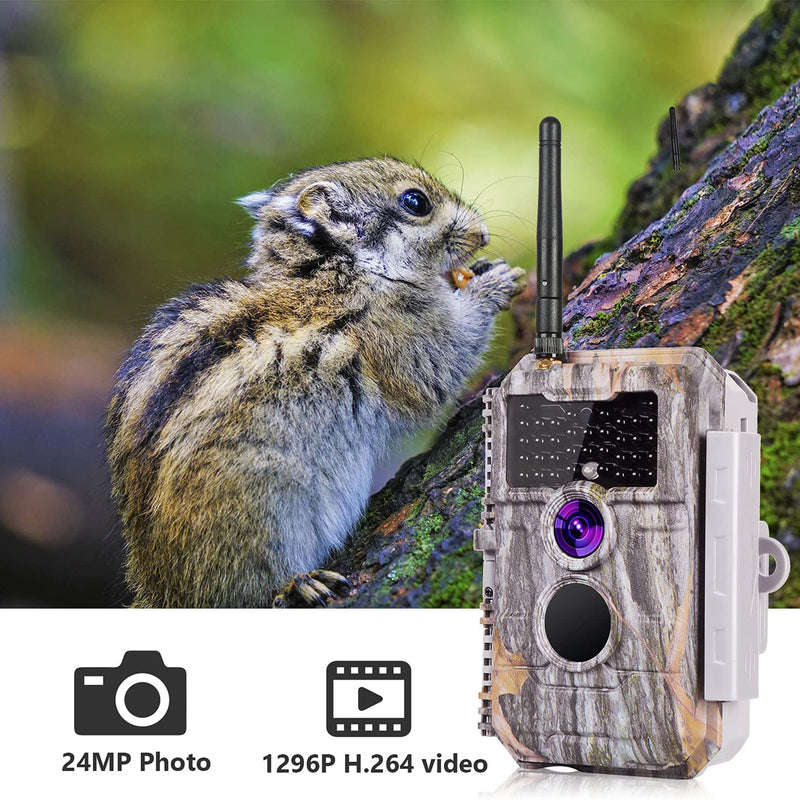 BlazeVideo Wireless Bluetooth Motion Activated Trail Camera w/Night Vision, Grey