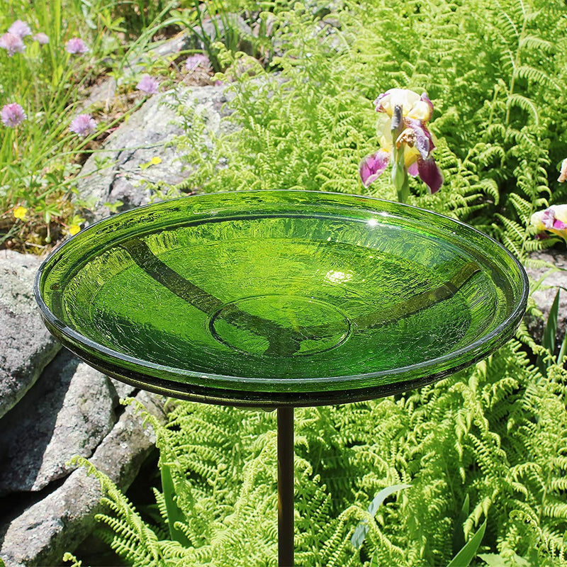 Achla Designs 14 Inch Hand Blown Crackle Glass Birdbath with Stake, Fern Green