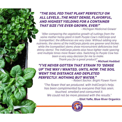 Purple Cow Organics IndiCanja Organic Living Plant Based Compost Soil (4 Pack)