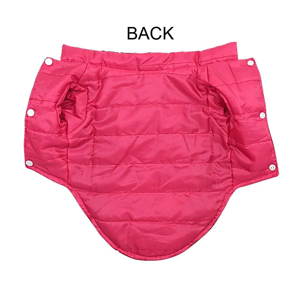 Chihuahua Winter Reflective Jacket