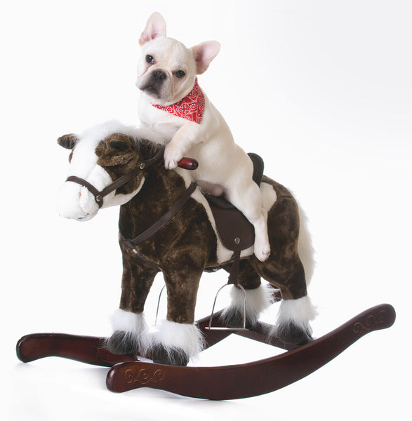 bulldog on rocking horse