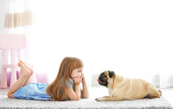 How To Read A Dog S Body Language Animal Hearted