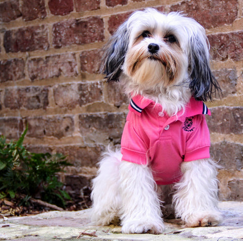 Pink Polo Shirt for Dogs