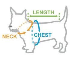 Klippo dog clothes measuring guide