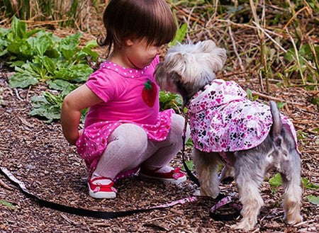 packable rain coat for dogs