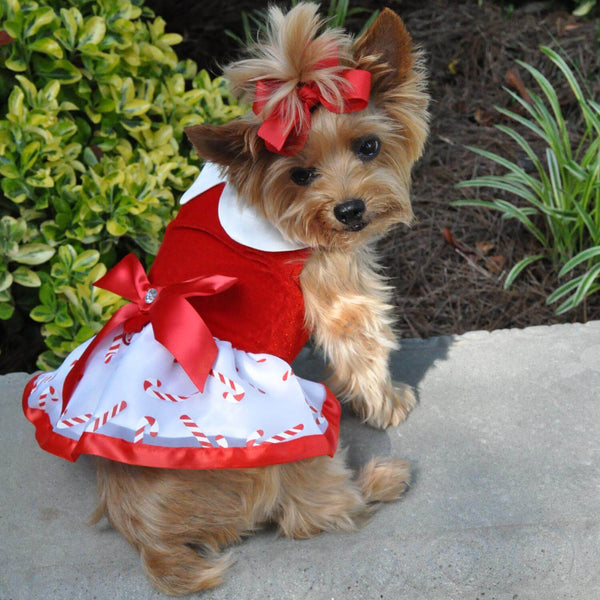 Candy Canes Christmas Dog Dress | DinkyDogClub