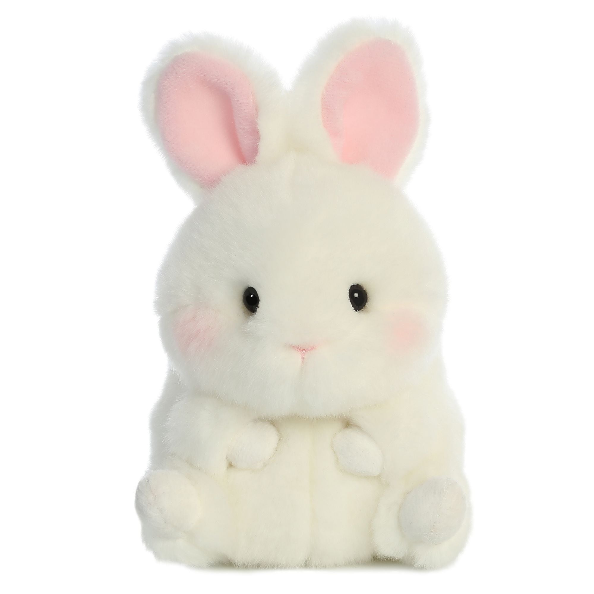 aurora rolly pet bunny