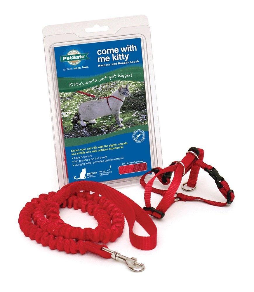 cat harness pet supplies plus