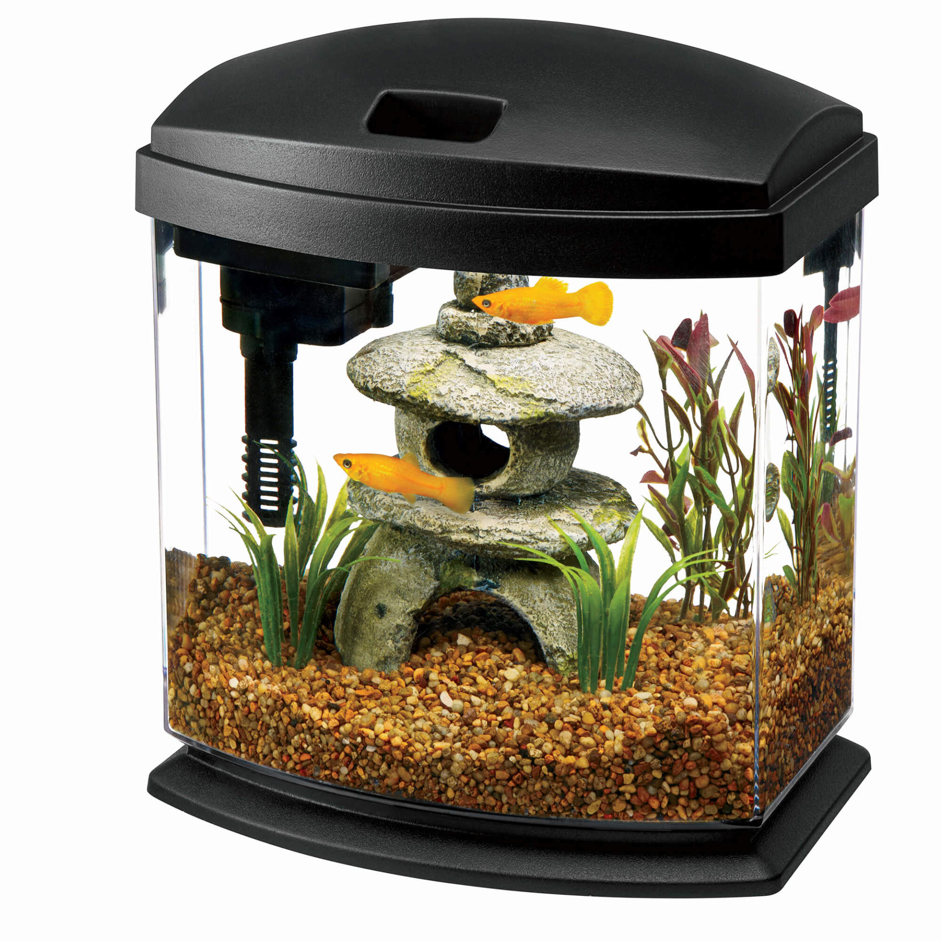 Aqueon Led Minibow Aquarium Kits – Water Garden Gems Garden Center
