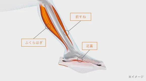 Foot Fit 3 Heat（フットフィット3 ヒート）の特長：電気刺激が、歩行で使う3つの筋肉（ふくらはぎ・前すね・足裏）にアプローチ。