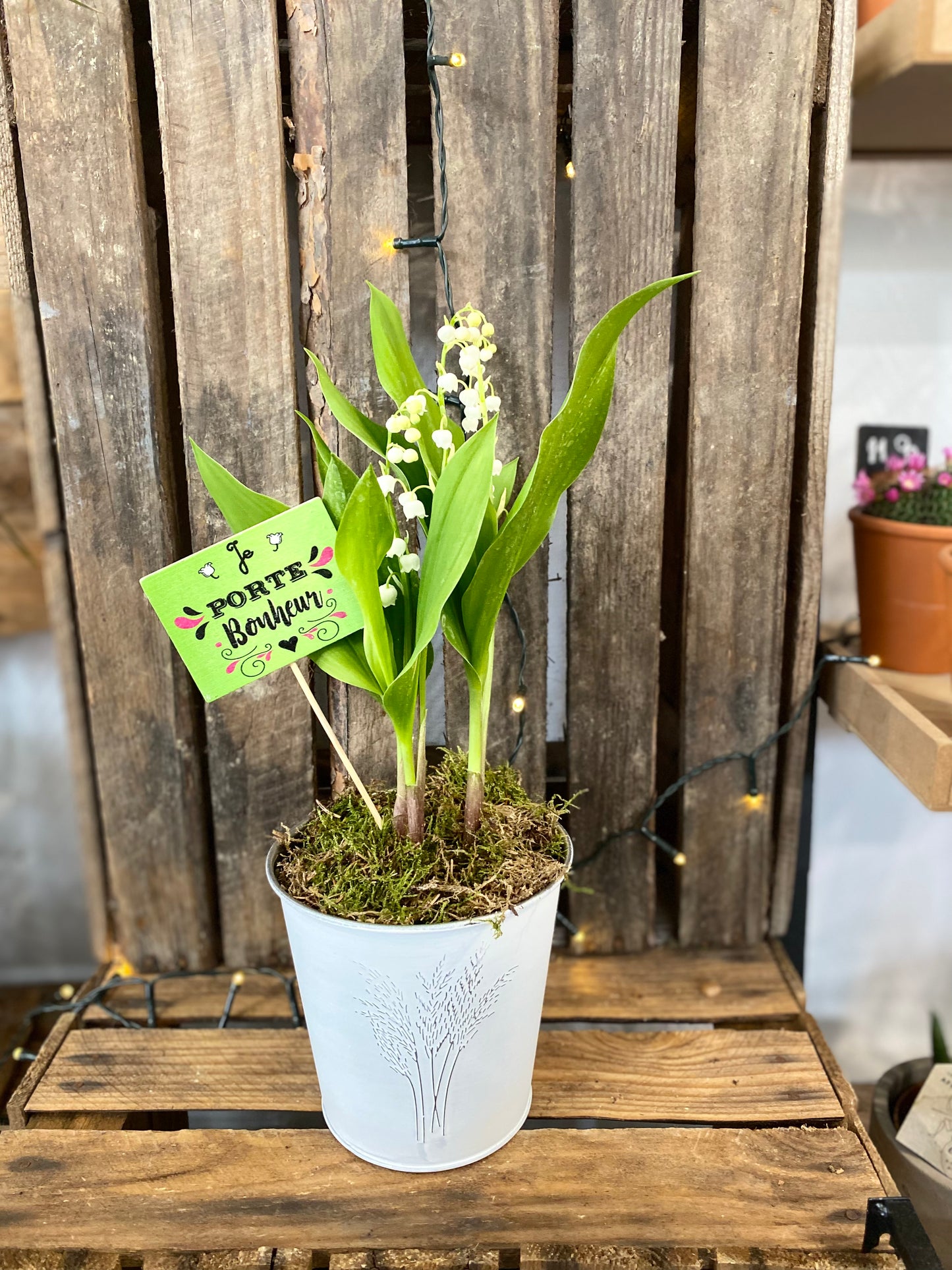 Muguet 3 griffes extra