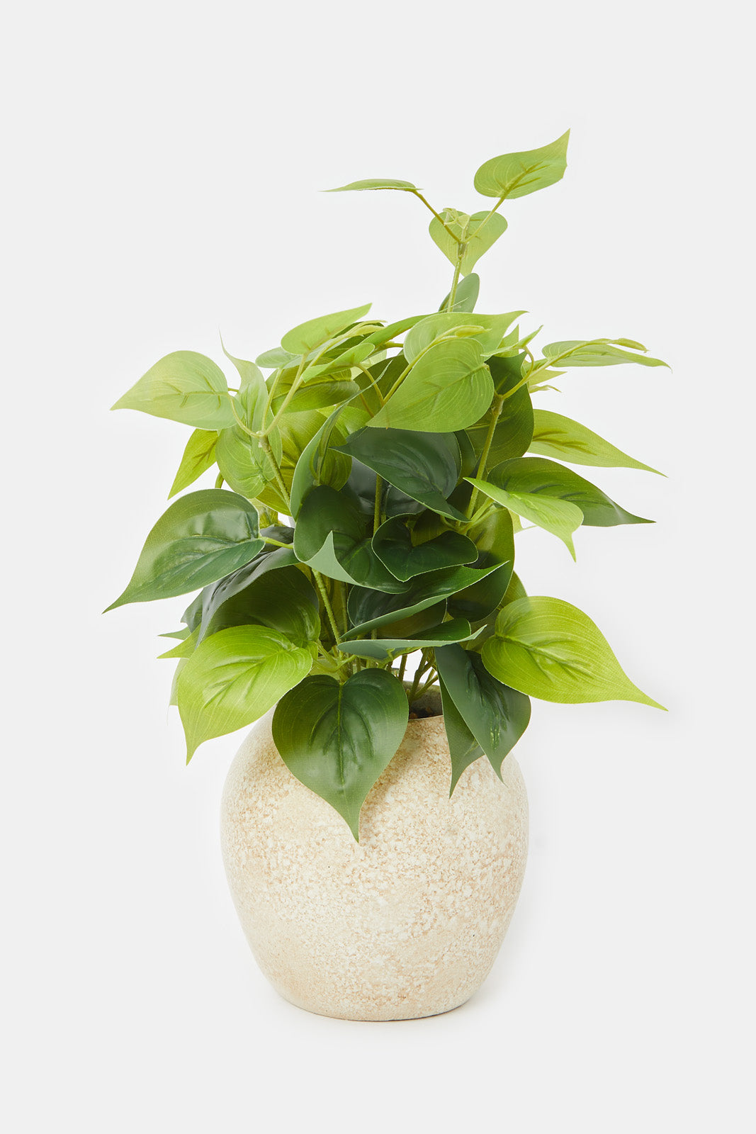 

Green Artificial Plant In Ceramic Pot
