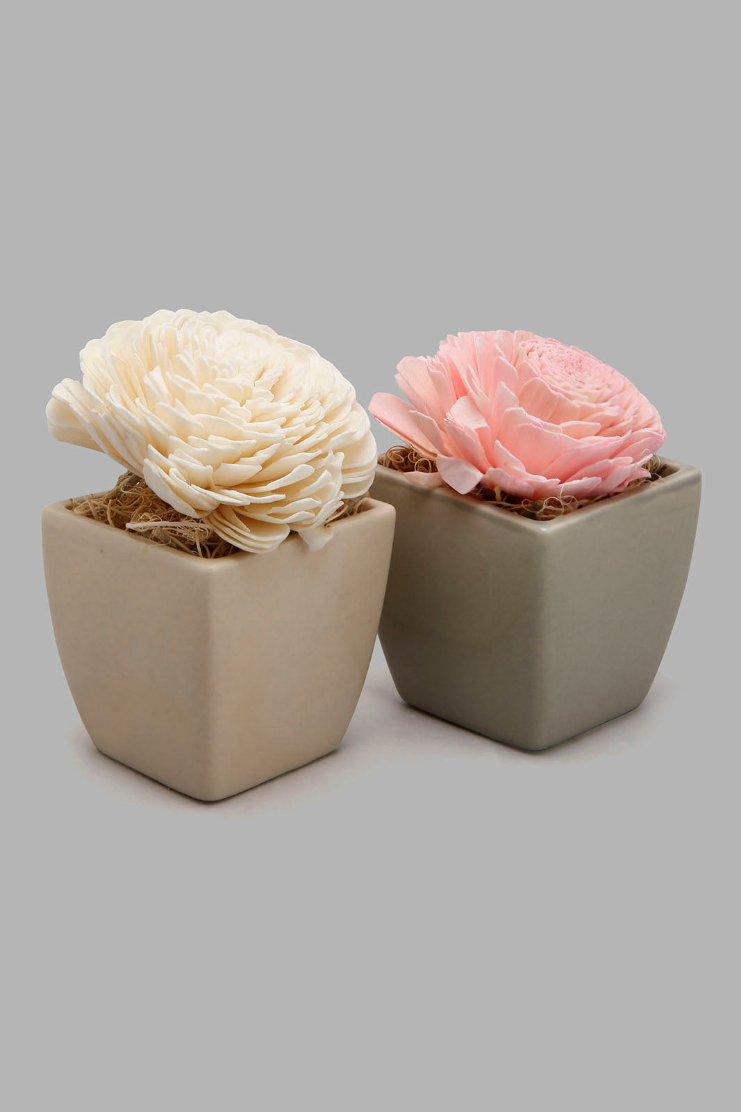 

Pink And Ivory Scented Dry Flower In Ceramic Vase (2 Piece)