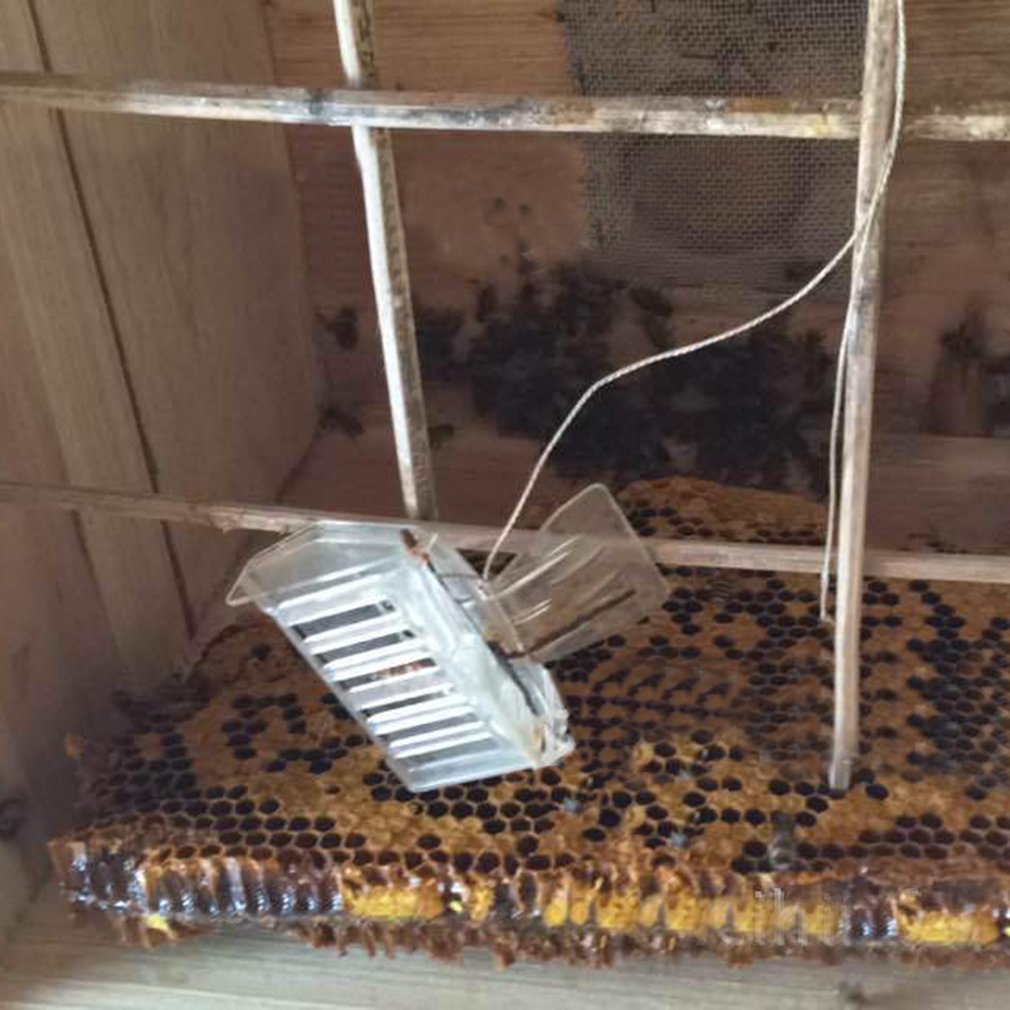 2.36*1.18*1.97 Queen Cage Clip Bee Catcher Beekeeper Beekeeping Equipment Alloy 