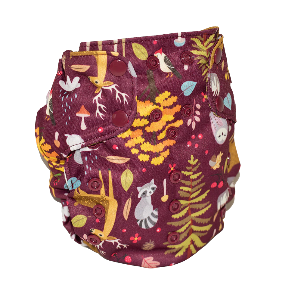 Smart ONE 3.1 - Smart Bottoms