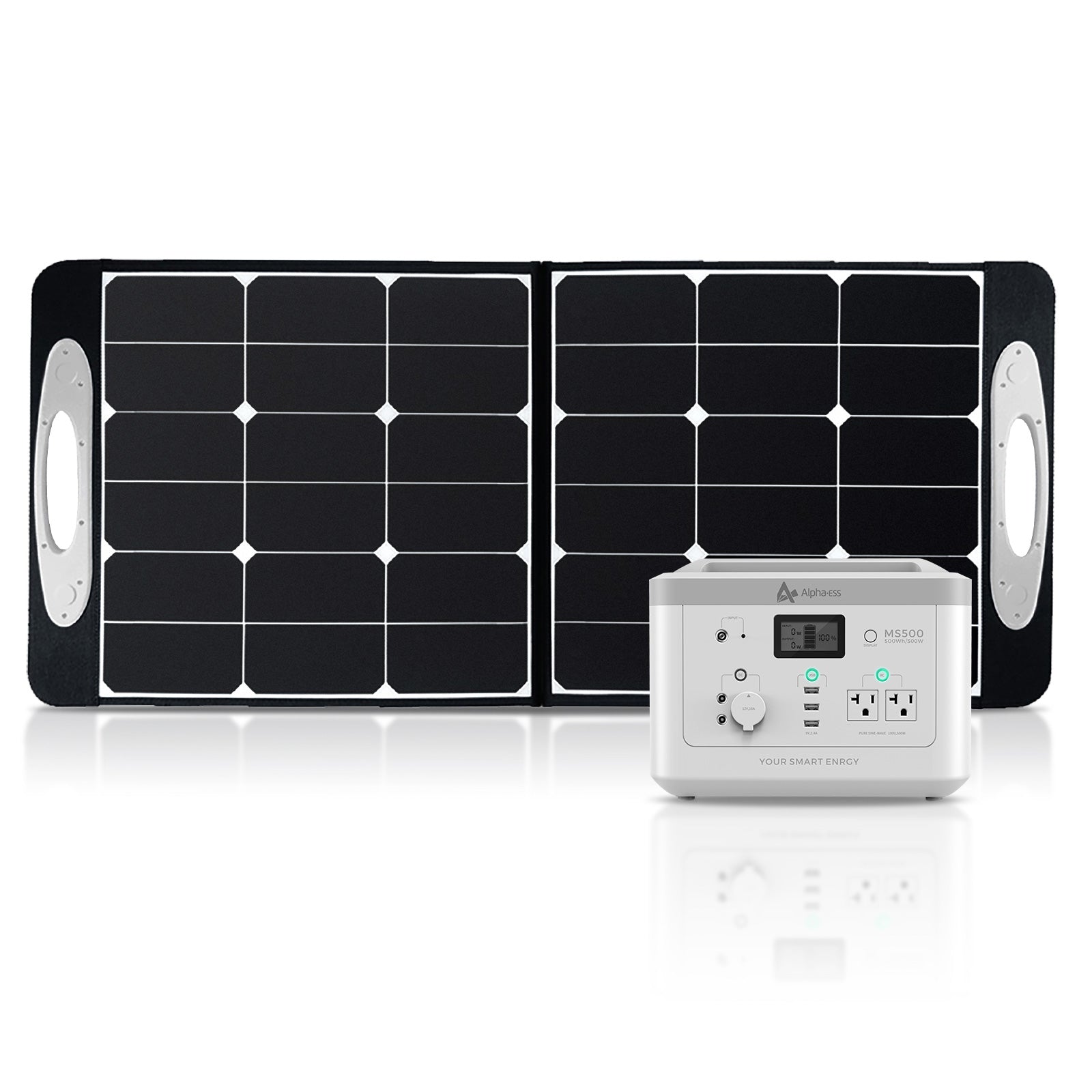 MS500+Solar100 – AlphaESS PPS jp