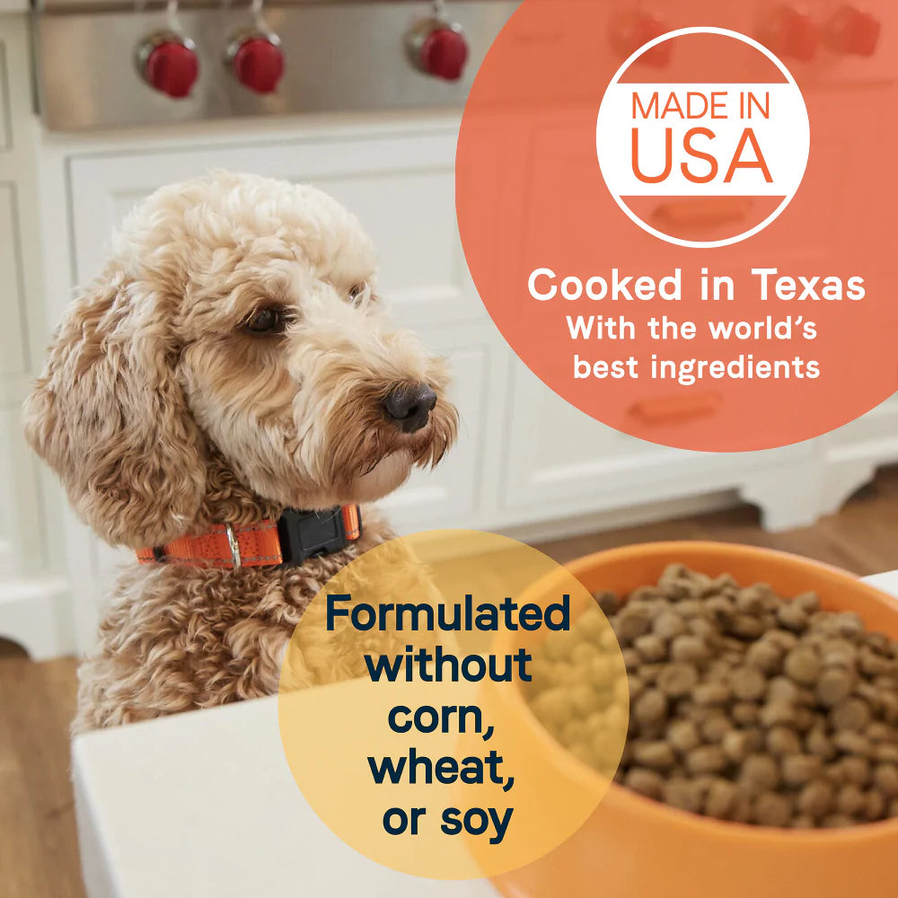 Canidae All Life Stages Large Breed Turkey Meal & Brown Rice Formula Dry Dog Food