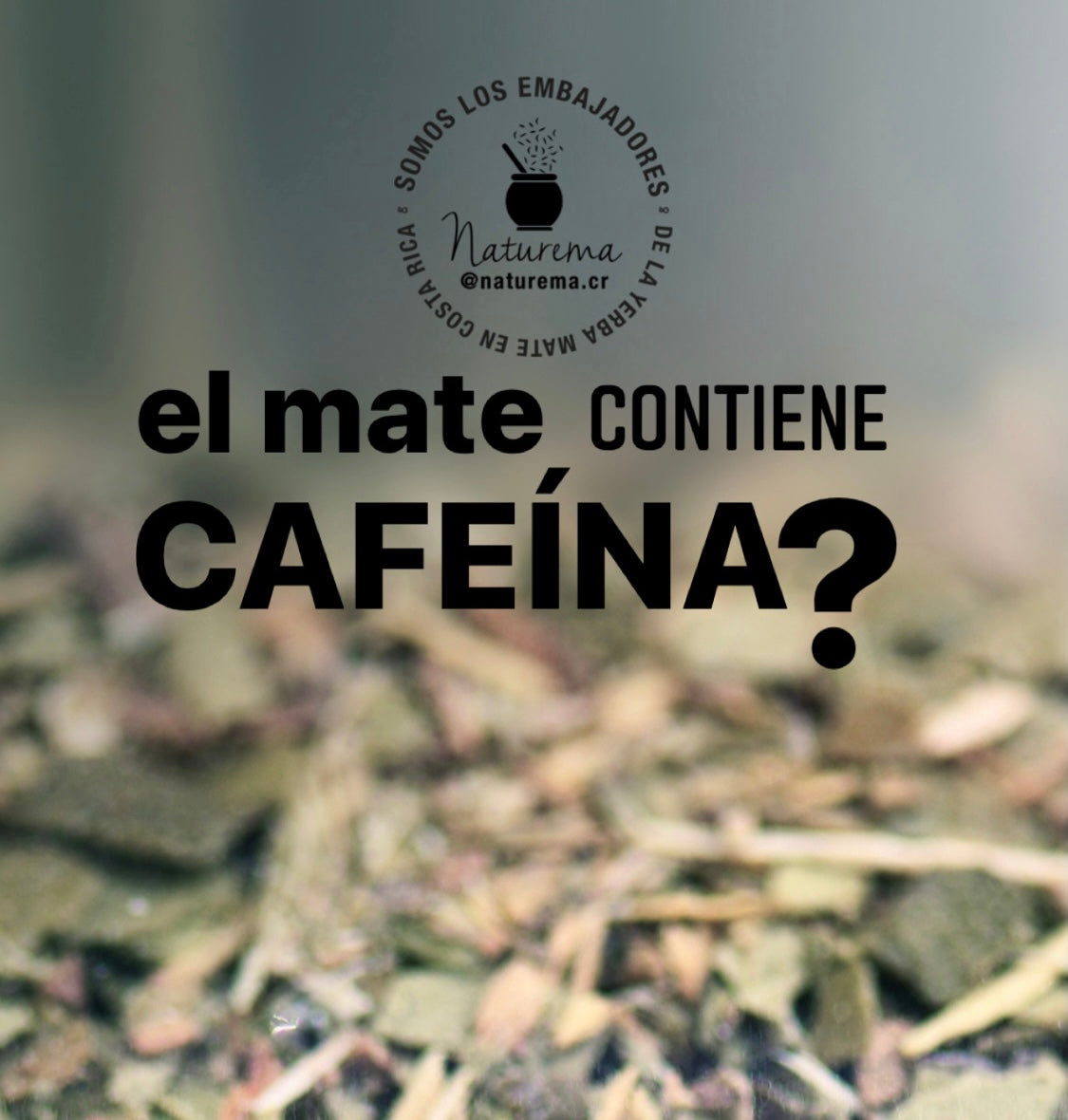 Rápido tubo respirador valores El mate contiene cafeína ? Does mate contain caffeine? – Naturemacr