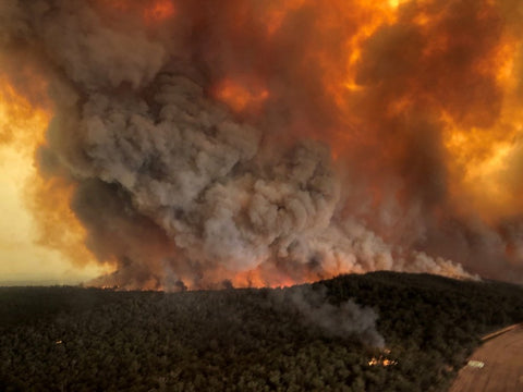 Australian Bushfires 2019