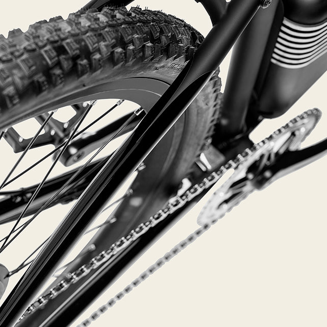 Schwalbe Knobby Tires | Rally Electric Bike