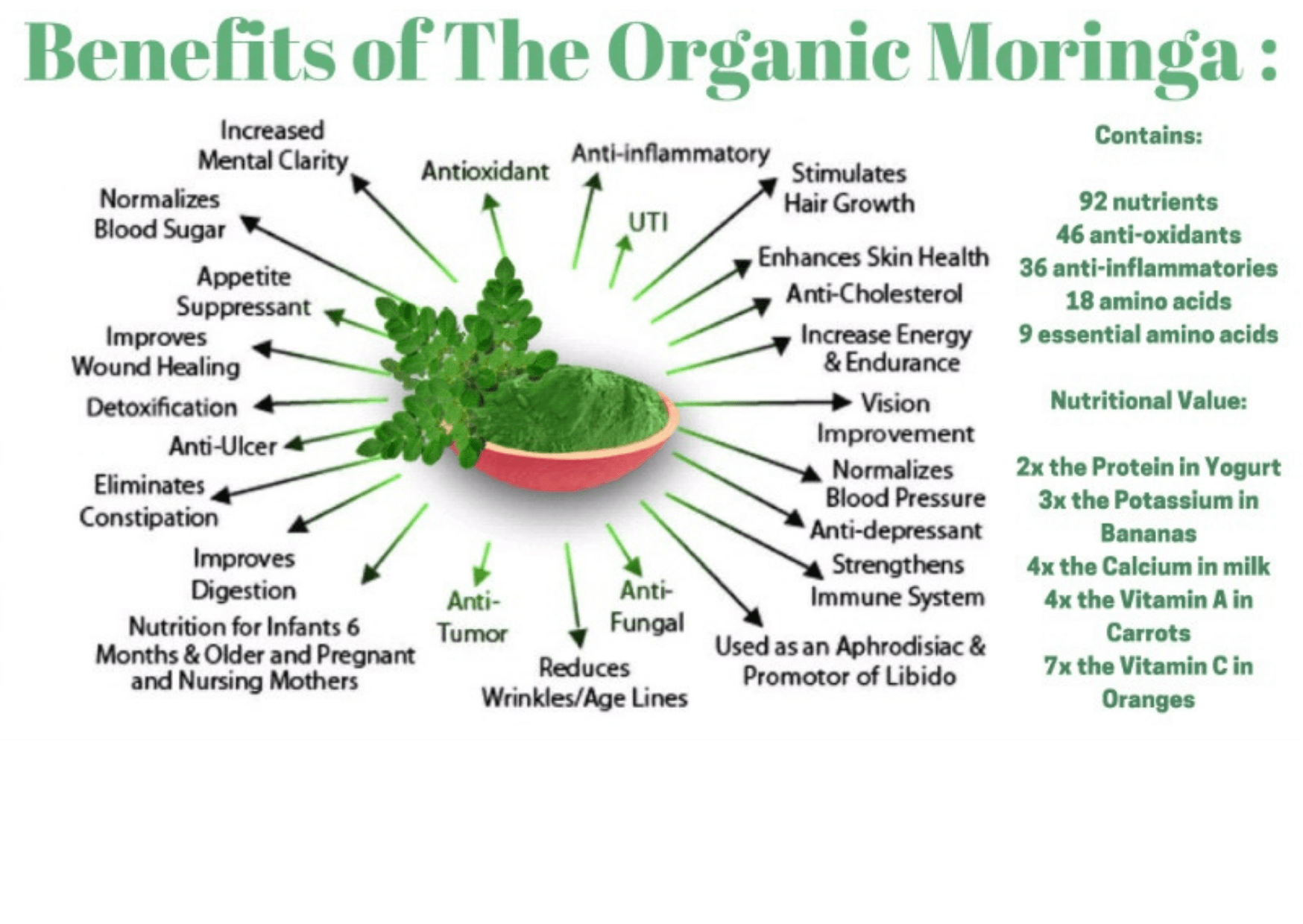 moringa, moringa benefits, natural, organic - Holistique Naturelle