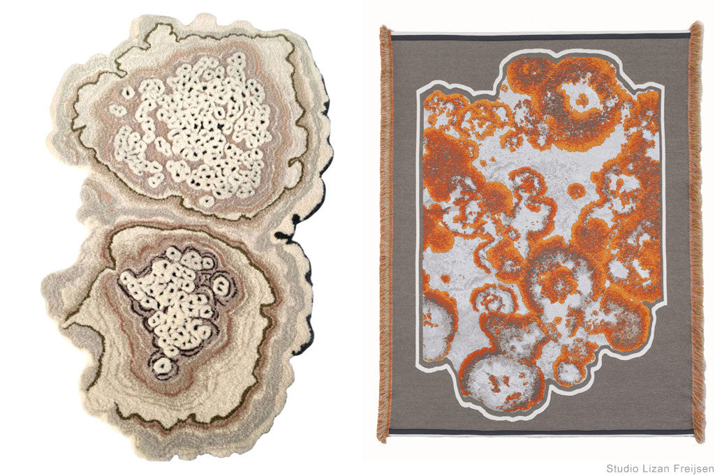 Mouldy Rugs by Lizan Freijsen