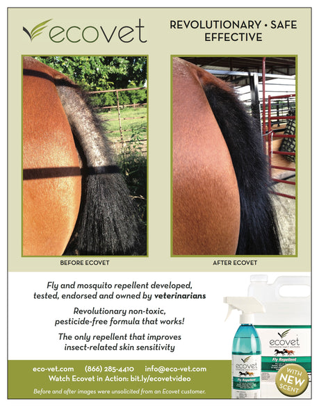 ecovet-fly-spray-before-after