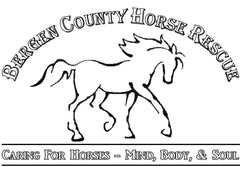 bergen-county-horse-rescue