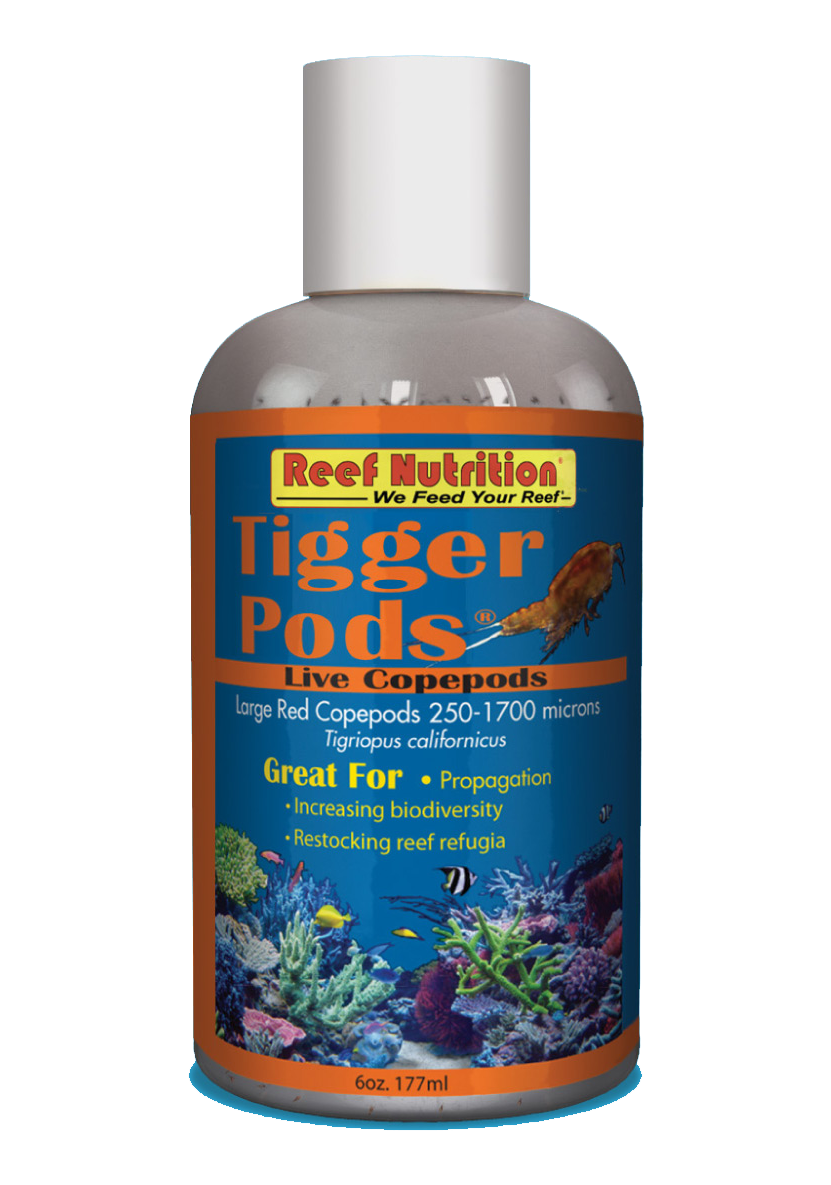 Reef Nutrition Tigger-Pods - Live Tigriopus californicus copepods - 6o