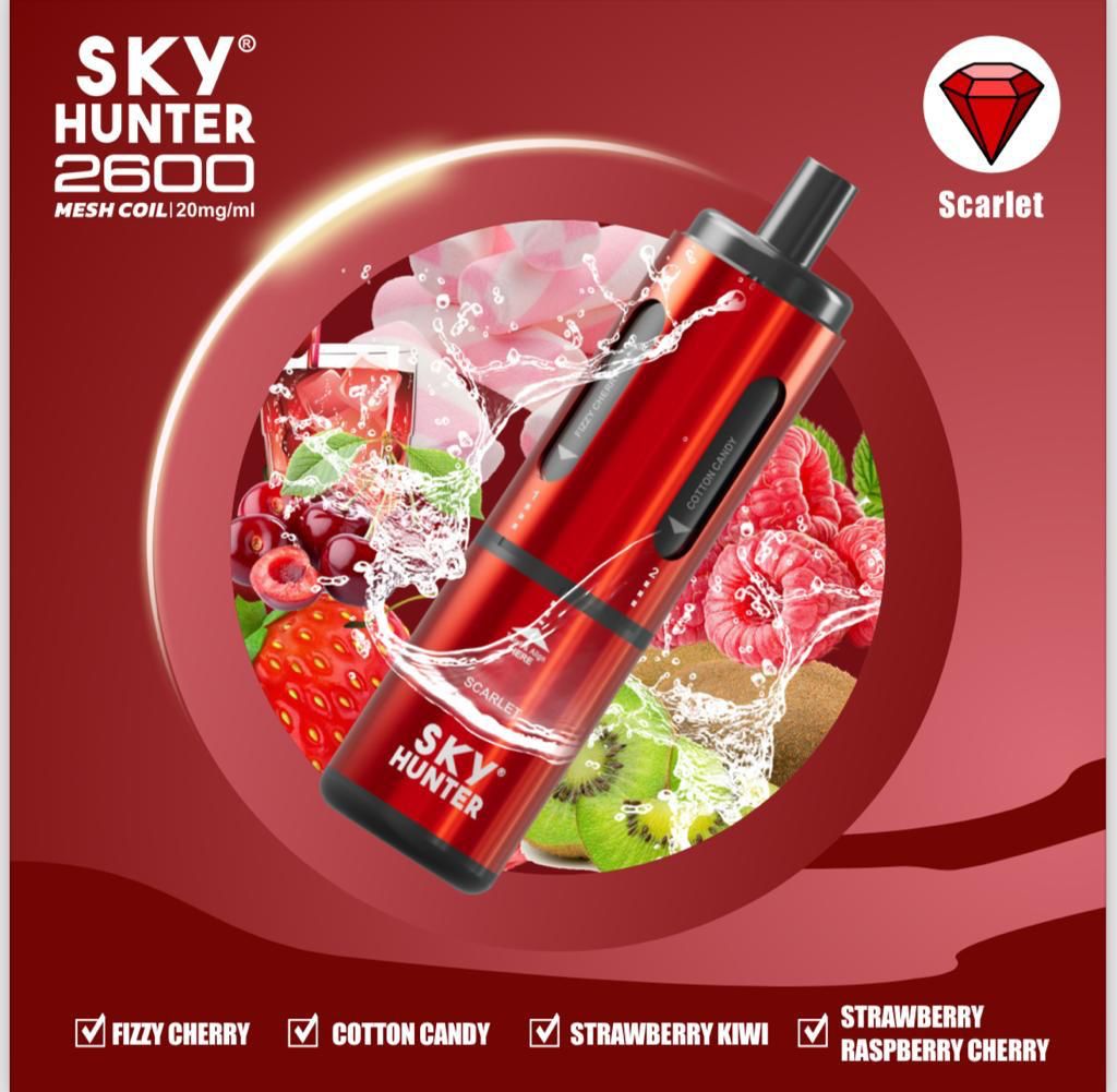 Sky Hunter - 4 in 1 Sky Hunter 2600 Puffs Disposable Vape Pod Kit - theno1plugshop