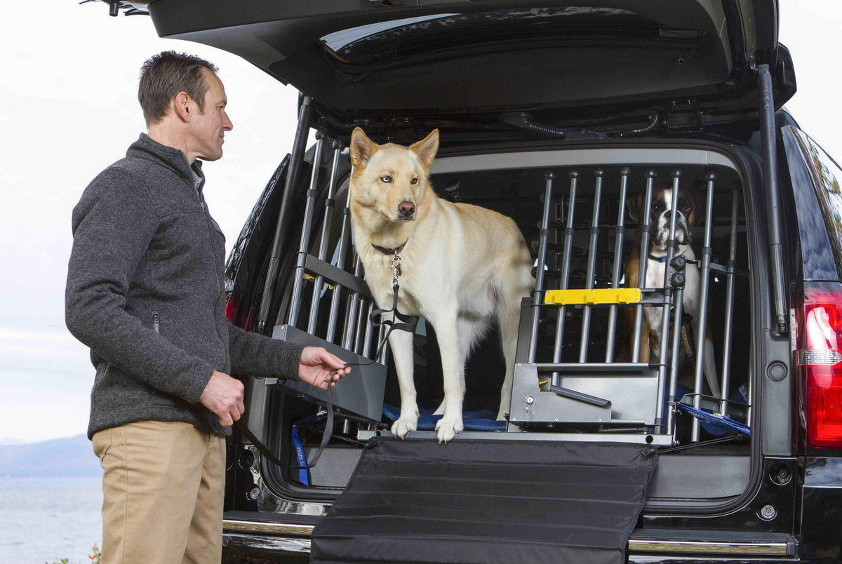 vehicle pet gate