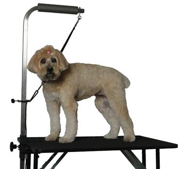 what equipment do you need for dog grooming