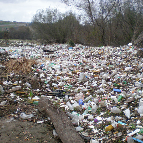 Garbage on Beach