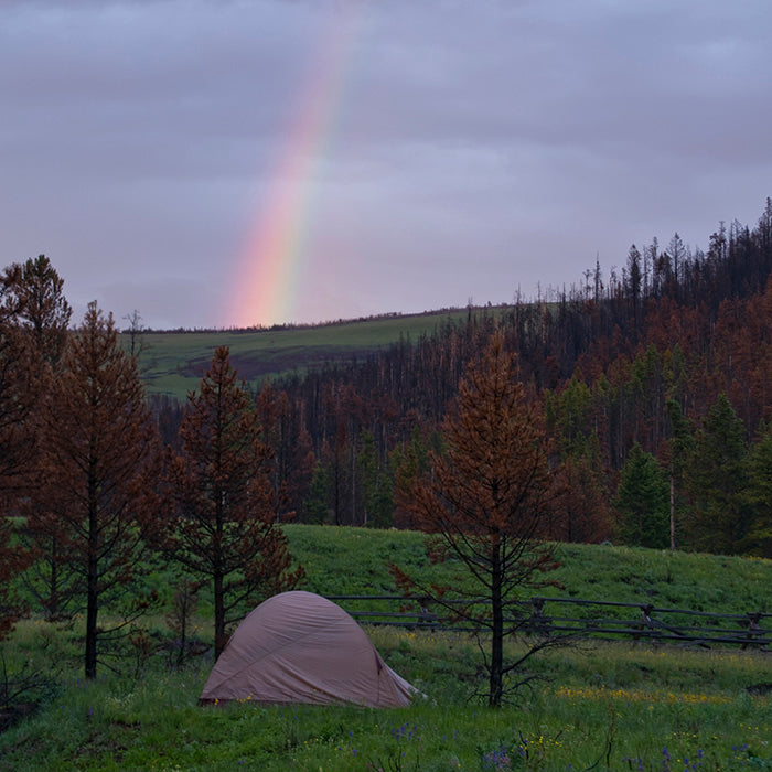 Camping with rainbows