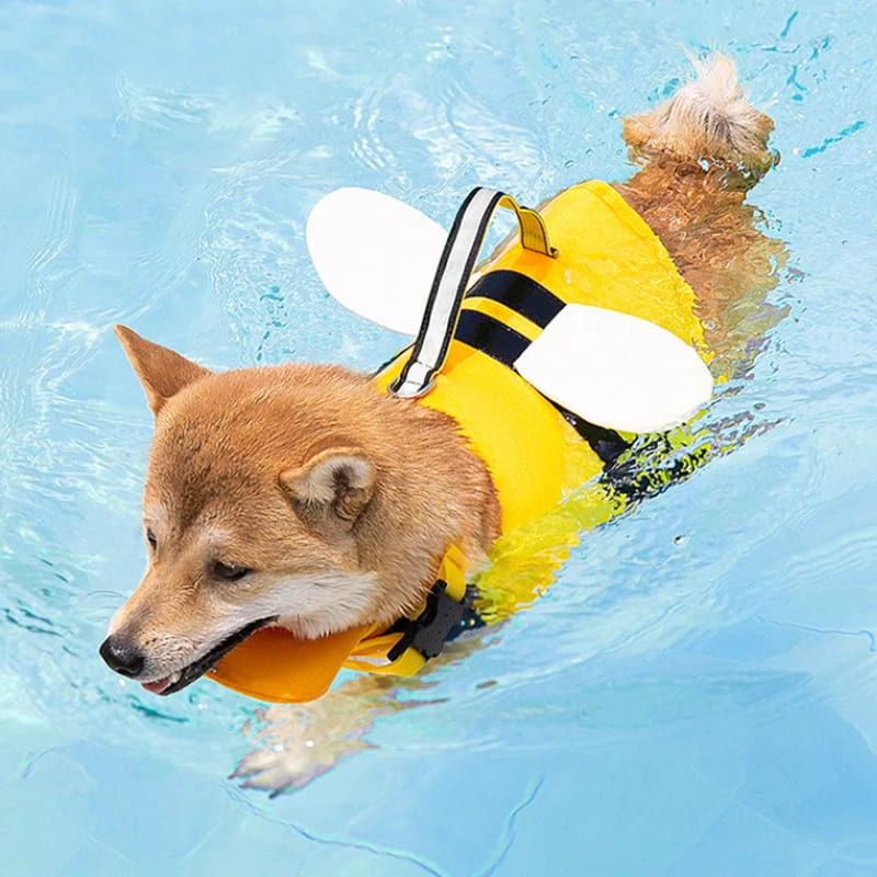 shiba inu life jacket