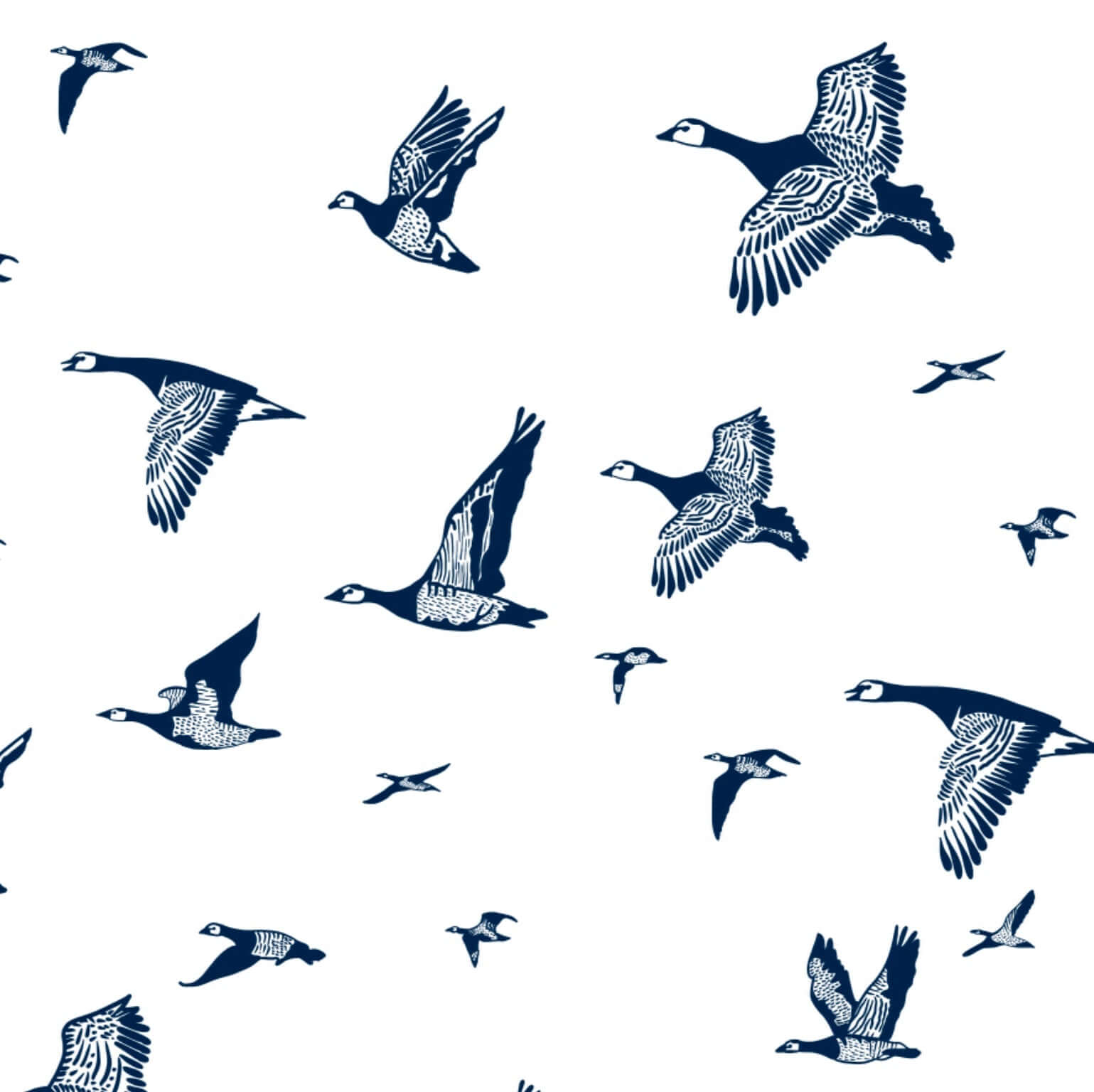 gaggle of geese flying clipart