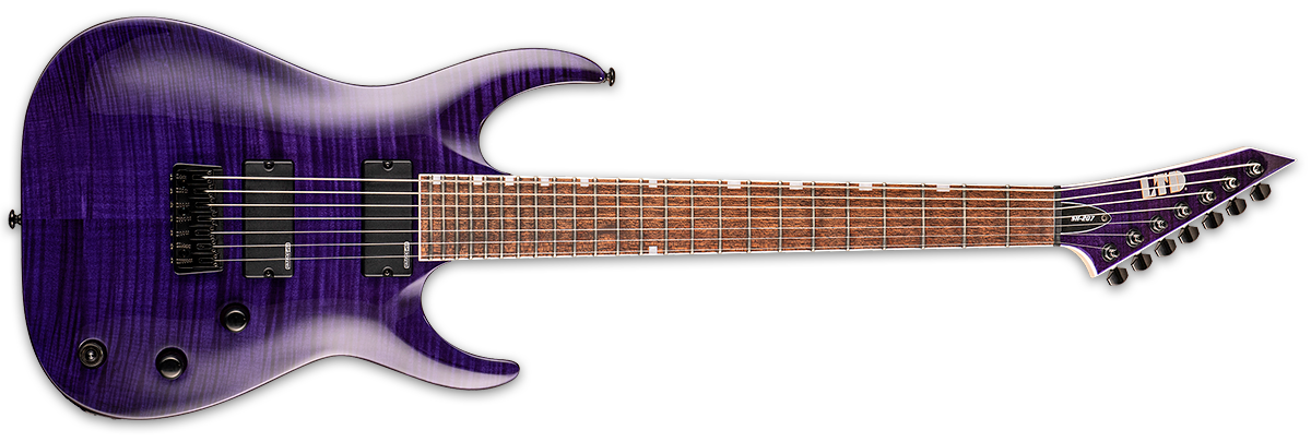 esp head signature