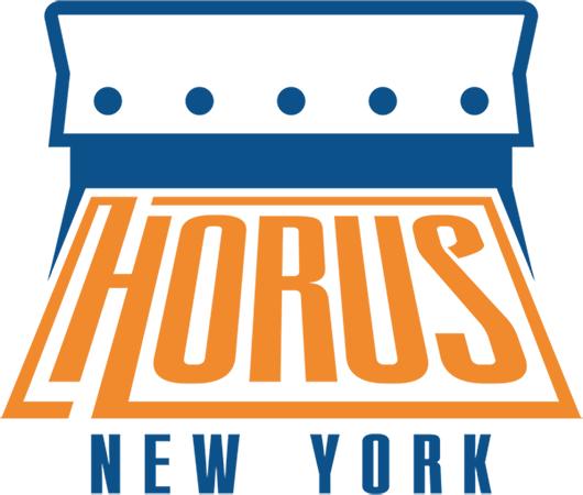 
      Affordable Custom T-shirts Printing in Queens, NY - Horus New York
