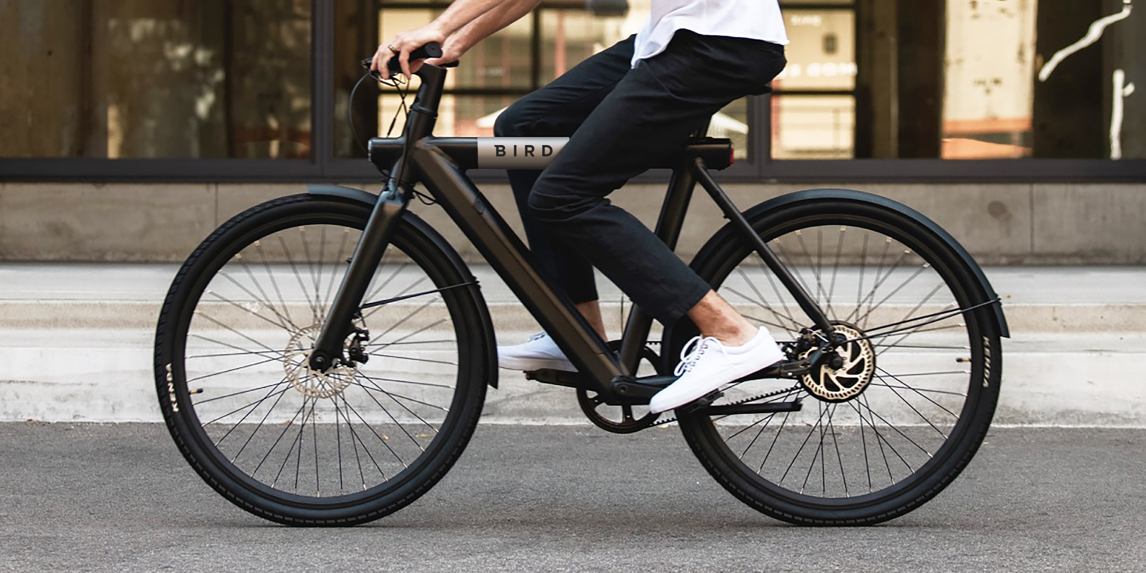 redden Doorbraak Politieagent Bird Bike review: is de e-bike het waard? | Voltes - Electric Mobility