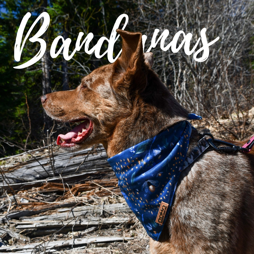 how to make a cooling bandana for dogs