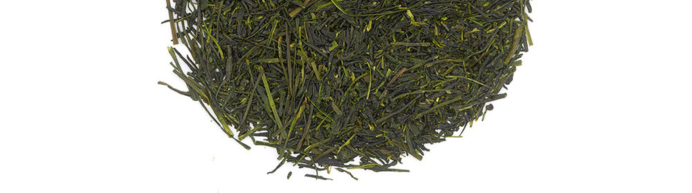 Sencha green tea leaves from Japan