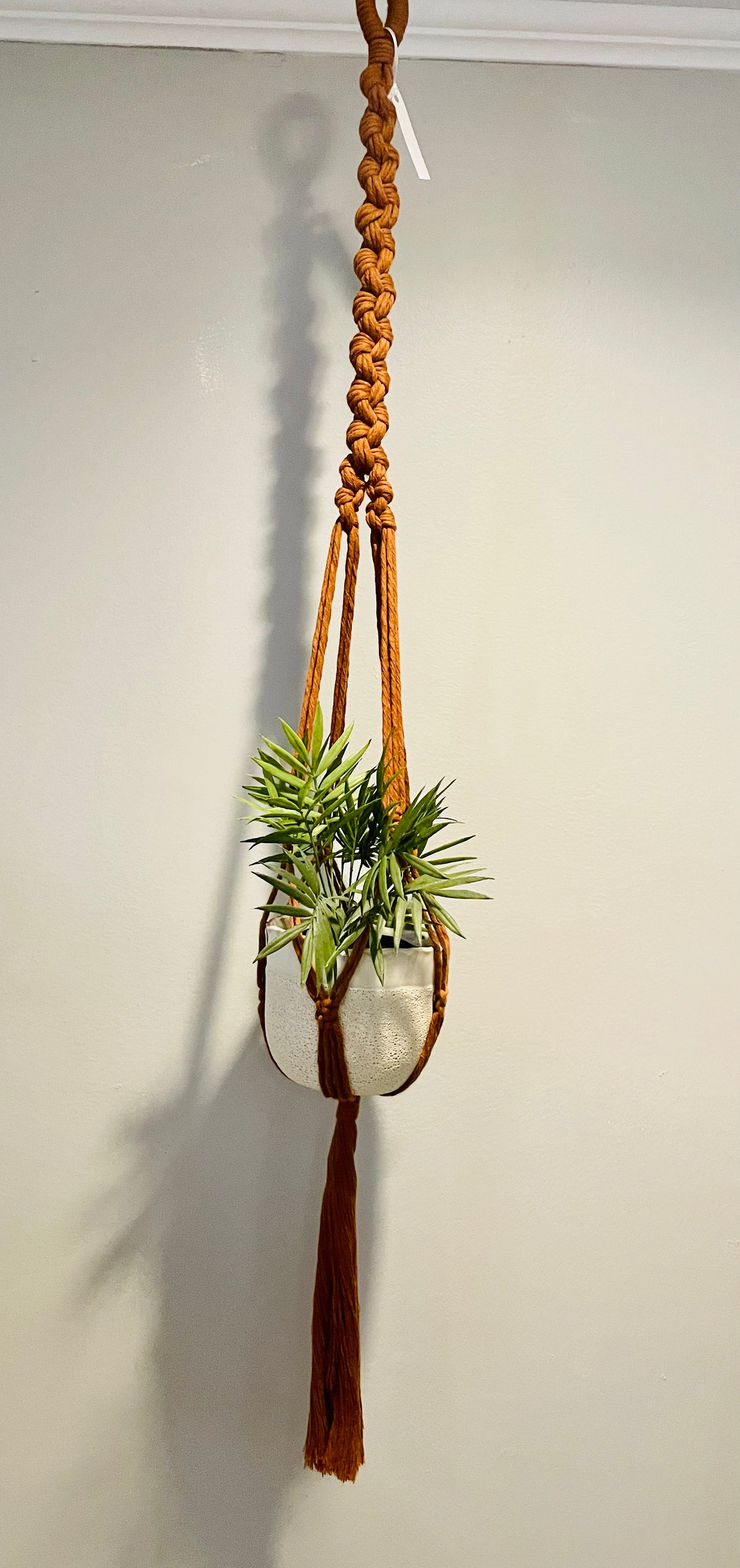 Plant Hanger