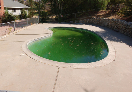 How to solve green pool water? Yuck.