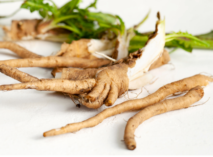 Chicory root inulin