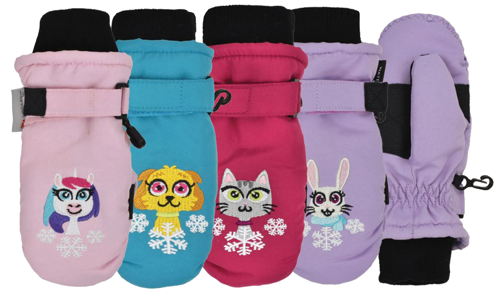 ''Girl's Embroidered Ski Mitten, Ages 2-4''