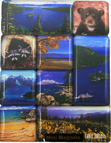 Scenic Photo PUZZLE Lake Tahoe Magnet