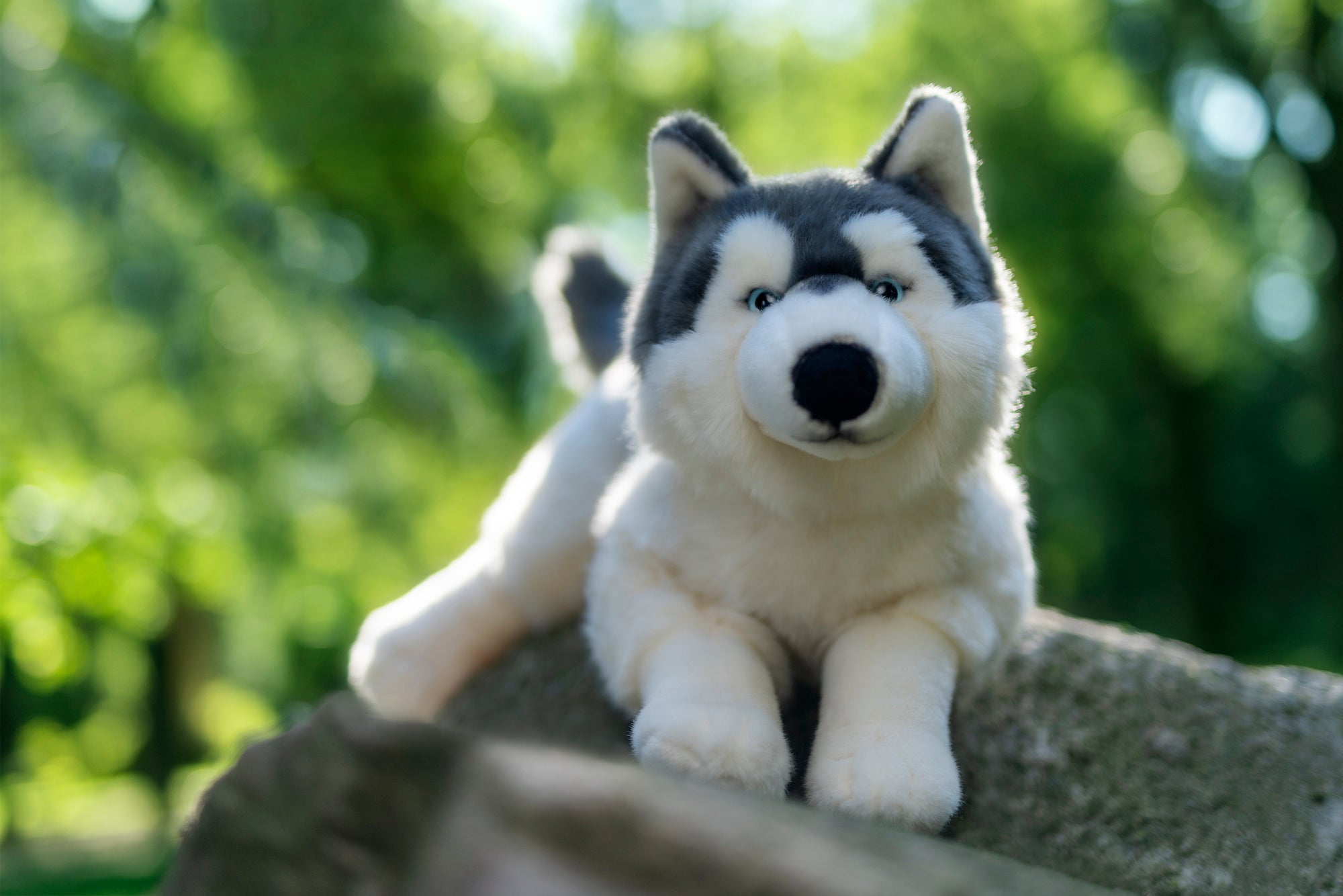 what toys do huskies like