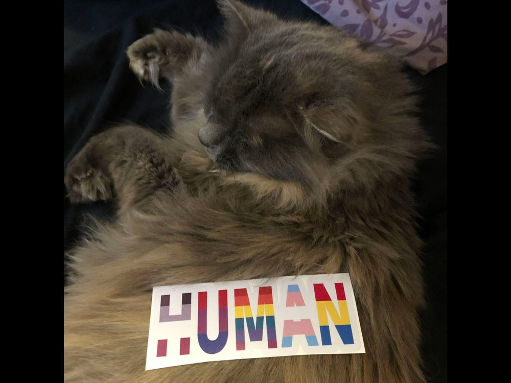 Human, LGBT+ Sticker Graphic Bumper Window Sicker Decal Gay Pride Sticker