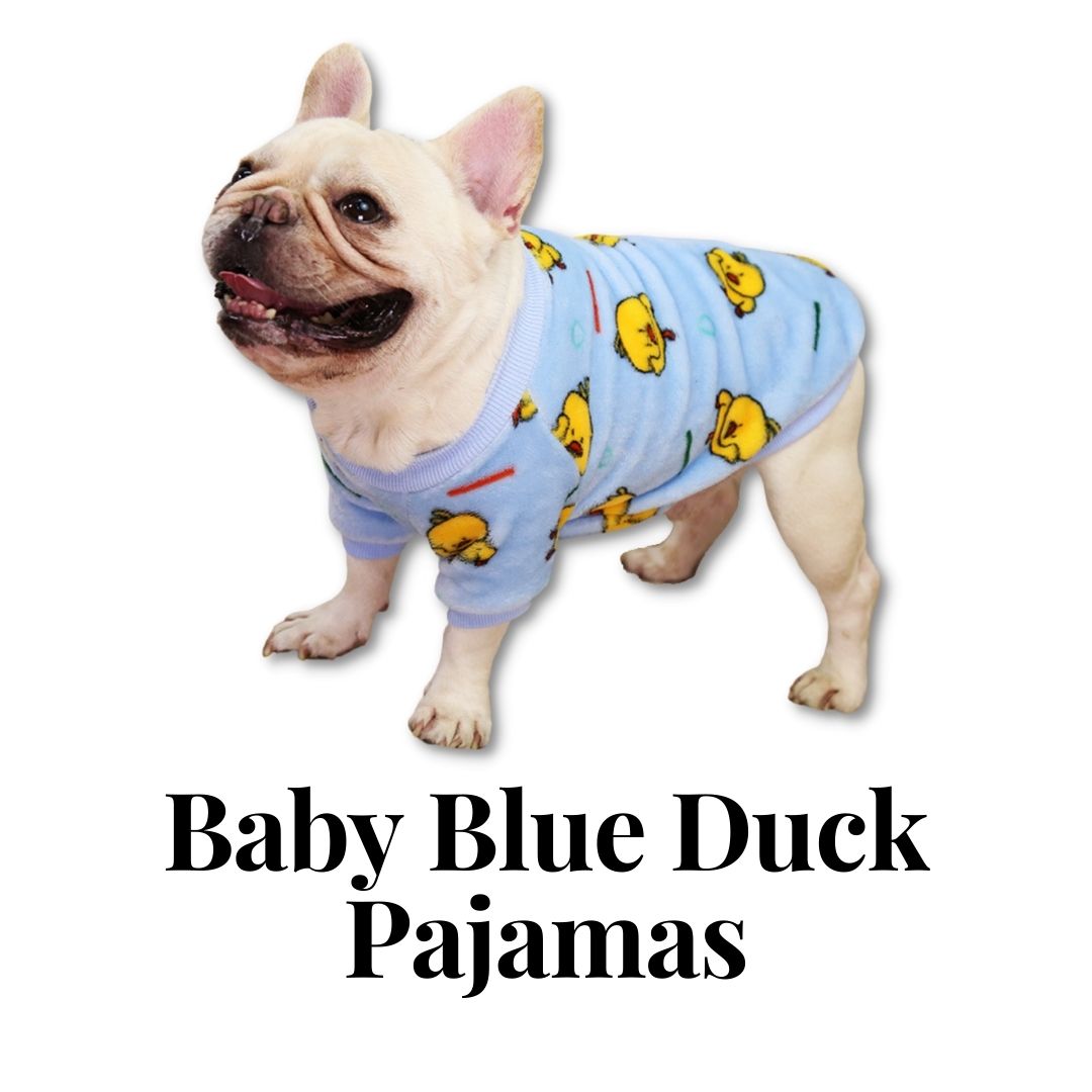entiteit Afname Broer Baby Blue Duck Pajamas